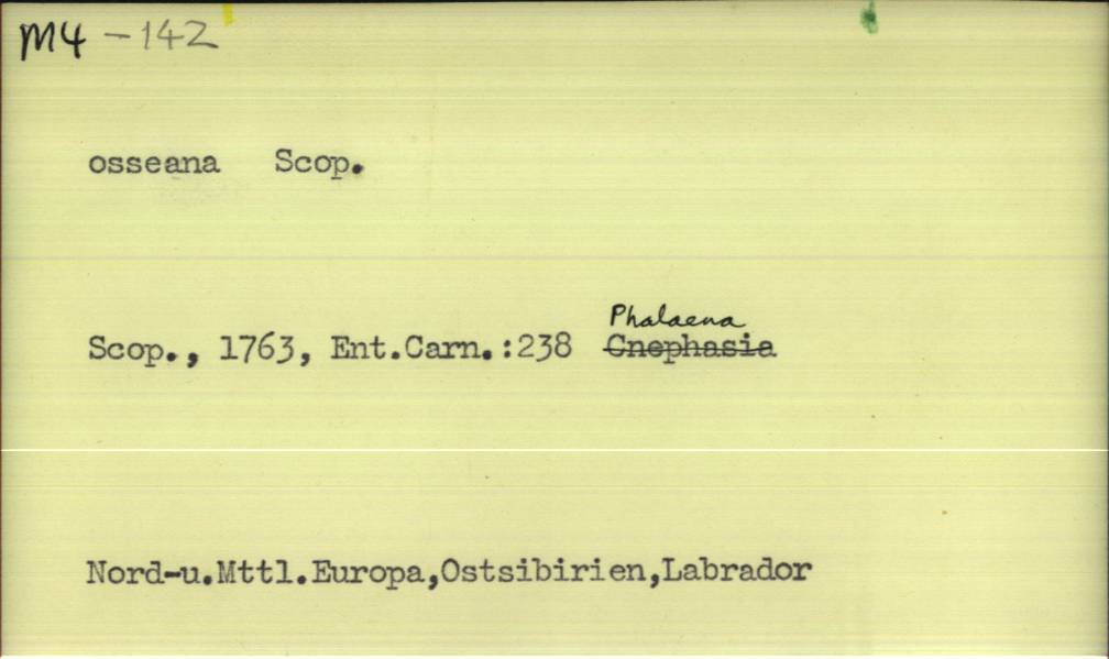 front of card
